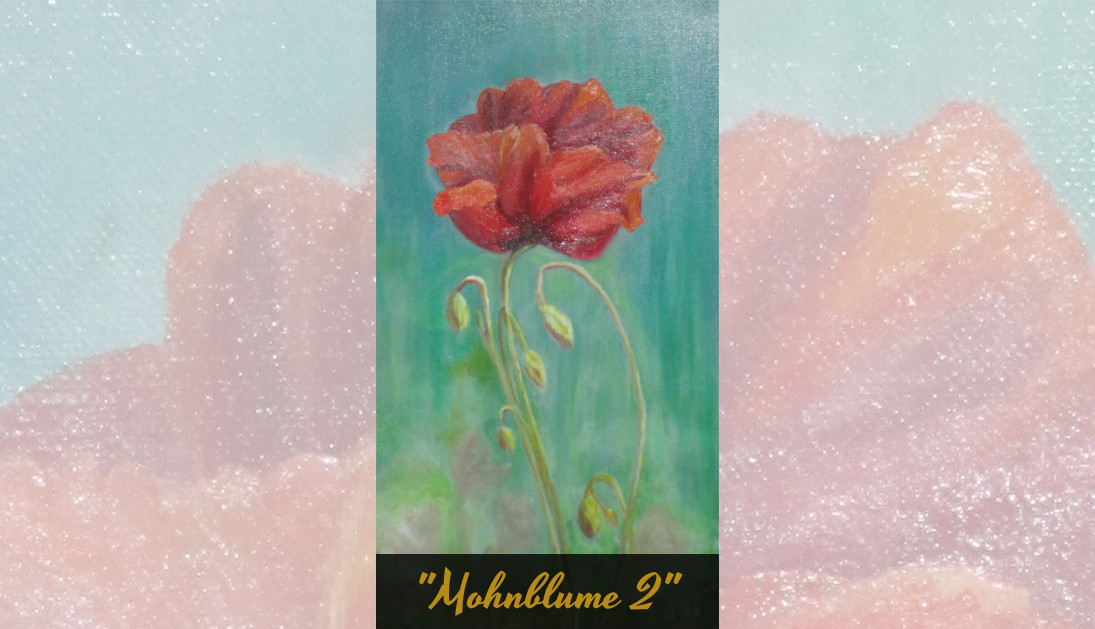 Mohnblume 2