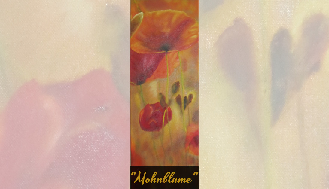 Mohnblume 4